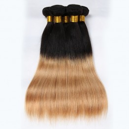 T1B-27 Ombre Brazilian Hair Straight 100% Remy Human Hair Weave Bundles